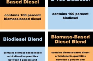 Biodiesel label