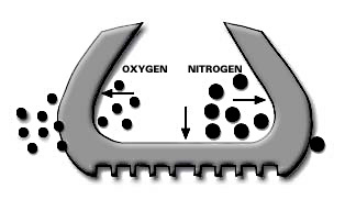 Permeability and Nitrogen
